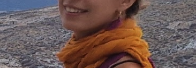 Ungarisch Online Einzelunterricht mit Vivi – Sprachkurs mit erfahrener Muttersprachlerin